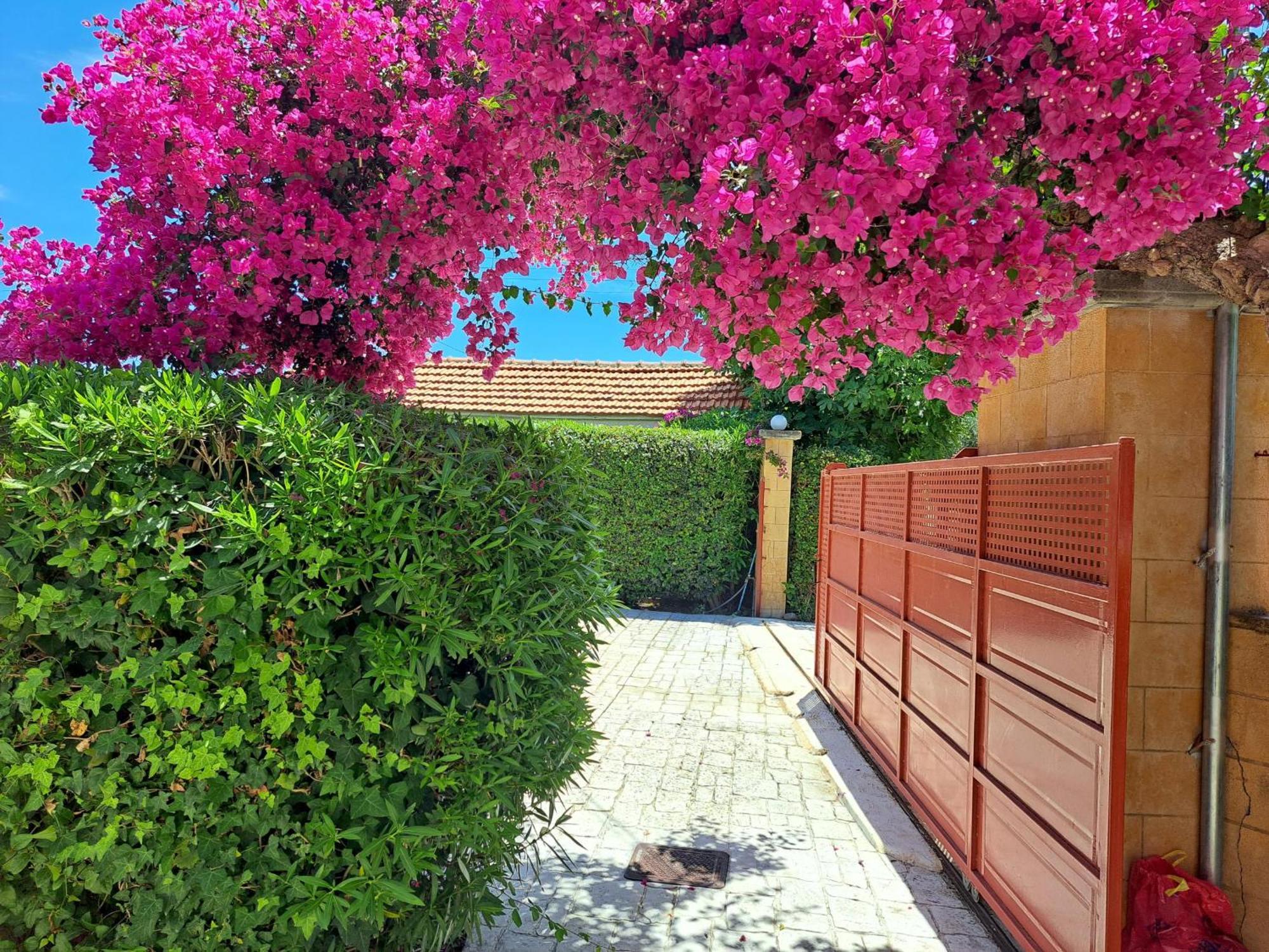 Holiday Home Orfanos Armenoí المظهر الخارجي الصورة